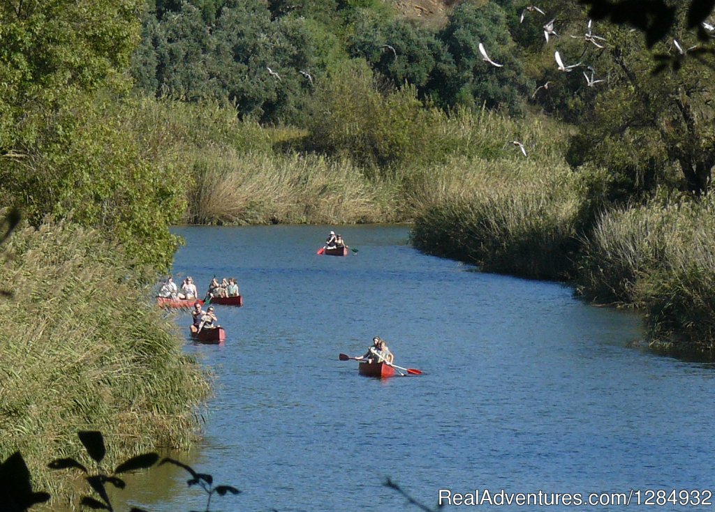 Rio Mira - from Odemira upstream and back | Canoeing And Camping  - A Family Nature Experience | Odemira, Portugal | Eco Tours | Image #1/5 | 