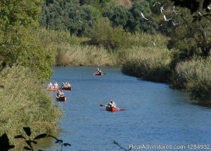 Canoeing And Camping  - A Family Nature Experience