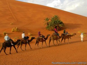 Superb Morocco Tours | Marakech, Morocco Sight-Seeing Tours | Great Vacations & Exciting Destinations