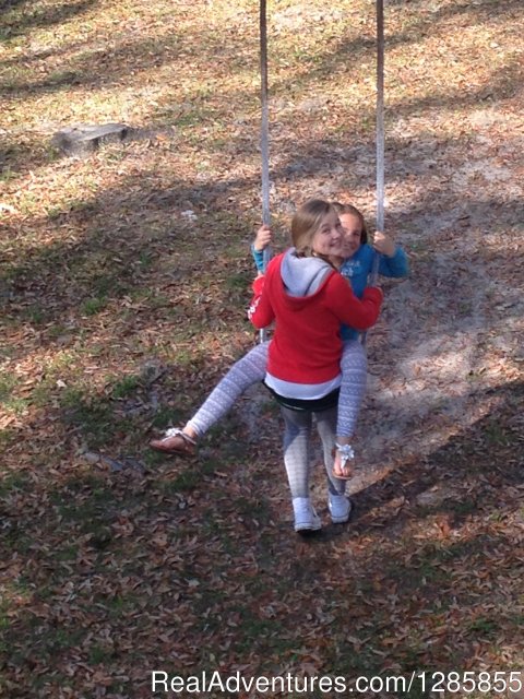 A Swing from one of the giant Live Oaks.