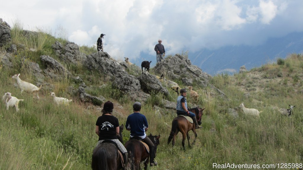 Multi adventure, the proper way to explore Albania | Image #5/6 | 