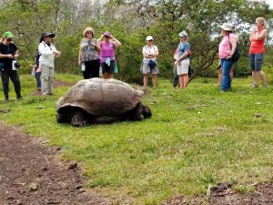 6 Day Galapagos Amazing | Quito, Ecuador Wildlife & Safari Tours | Great Vacations & Exciting Destinations