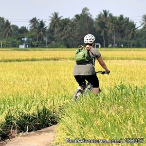 Easy cycling to rice farms Mekong Delta Vietnam | Ho Chi Minh Saigon, Viet Nam | Bike Tours