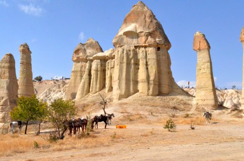 Famous Fairy Chimneys Of Cappadocia