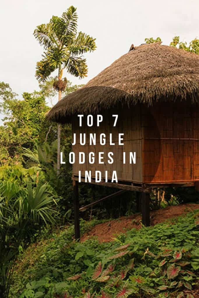 Jungle Resorts to Stay in India - Forsyth Lodge | Image #4/4 | 