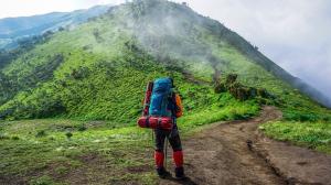 Rainforest Tours Guided Hiking | Sooke, British Columbia | Hiking & Trekking