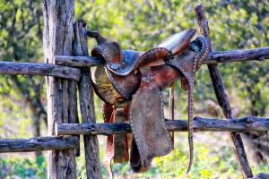Frazier's Homestead | Central, Louisiana | Horseback Riding & Dude Ranches