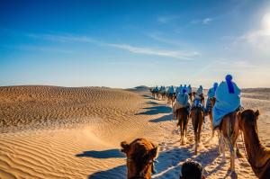 Camel Riding in Marrakesh, Morocco