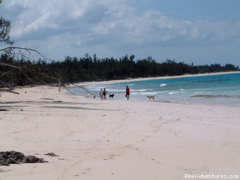 Heron Hill House: Beach #2