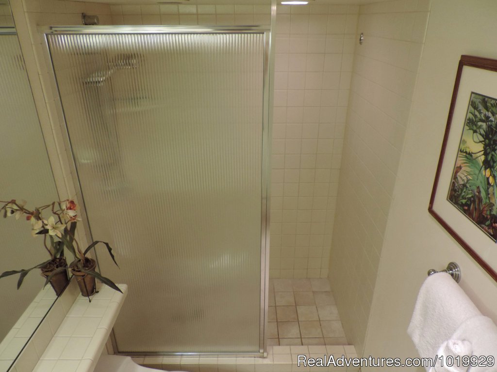 Guest Bathroom | Polo Beach 2-4 Bd beachfront-Wailea, Makena, Maui | Image #15/19 | 