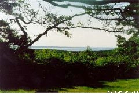This is a partial view of Vineyard Sound | Celeb Owned Hilltop Waterview Retreat | Chilmark, Massachusetts  | Vacation Rentals | Image #1/4 | 