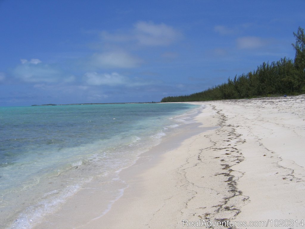 Remote island ocean front Villa | Image #18/18 | 