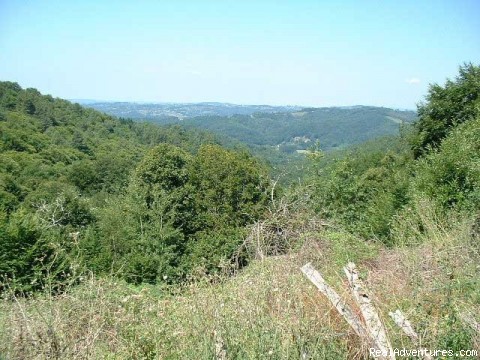 A Dordogne Valley House to Rent in France: The view