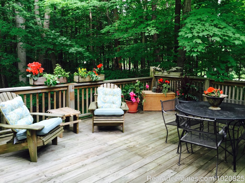 Sherwood Forest B&B, Safari Suite Deck | Sherwood Forest Bed and Breakfast | Image #4/19 | 