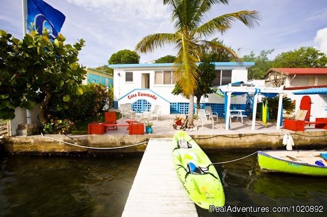 View from the water | Casa Ensenada Waterfront  Guesthouse, Culebra, PR | Image #2/23 | 