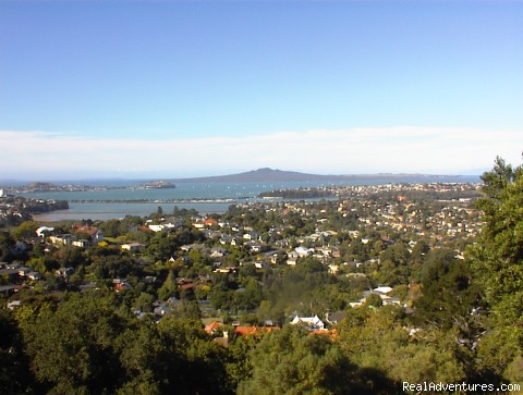 Devereux Boutique Hotel: Photo #10