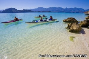 Sea Kayak Vacations & Whale Adventures in Baja/BC | Port McNeill, British Columbia Kayaking & Canoeing | Great Vacations & Exciting Destinations