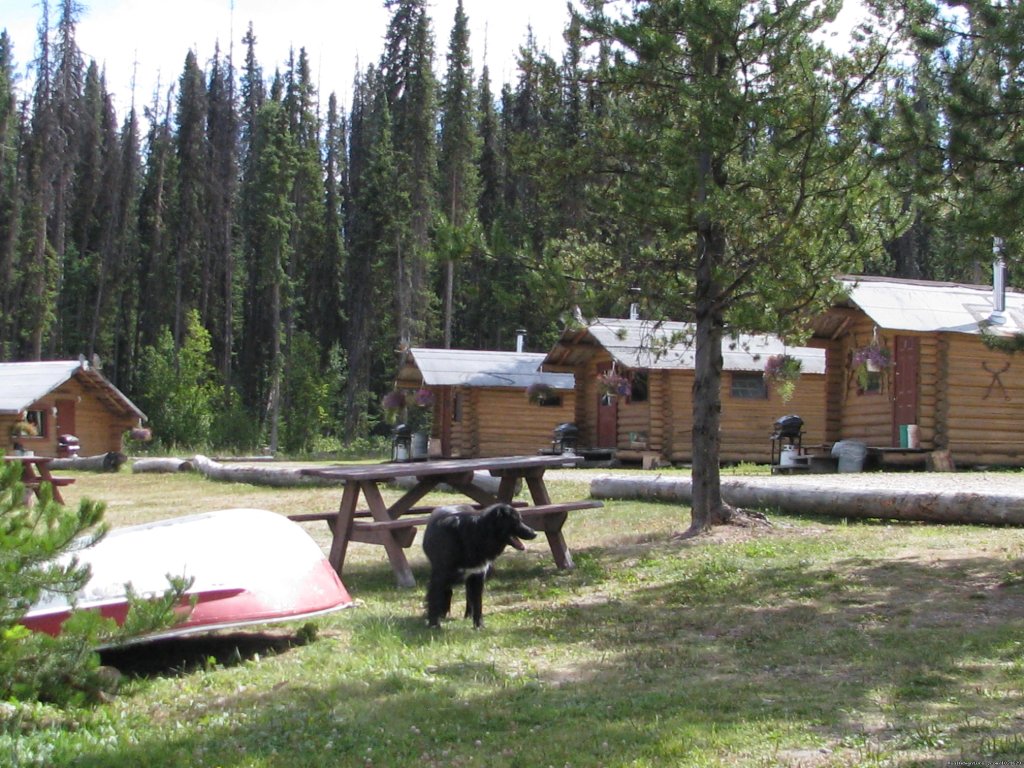 View of lakeside log Cabins | Finger Lake Wilderness Resort-GETAWAY,Relax&Unwind | Image #21/23 | 