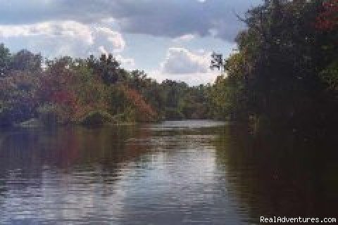 Photo #1 | Katie's Wekiva River Landing | Sanford, Florida  | Kayaking & Canoeing | Image #1/6 | 