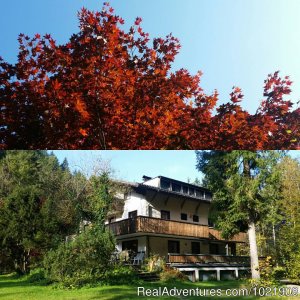 The TreeHouse Backpacker Hotel | Aalfang, Austria | Youth Hostels