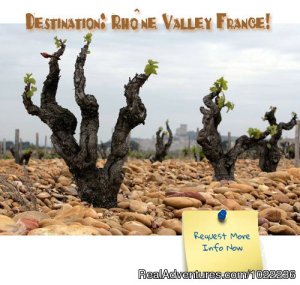 Splash Wine Tours to France | Chateauneuf du Pape, France Cooking Classes & Wine Tasting | Great Vacations & Exciting Destinations