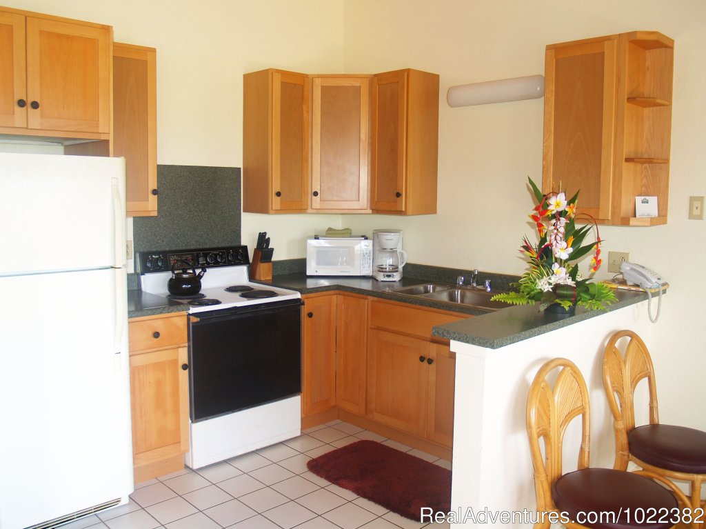 One Bedroom Full Kitchen | Kauai B&B Inn & Vacation Rentals with a/c | Image #6/23 | 