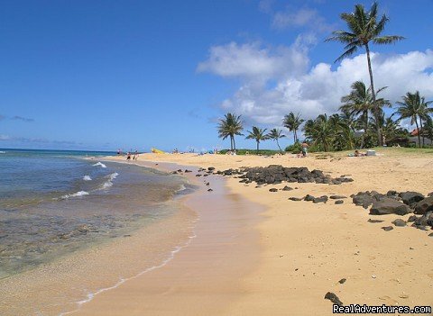Poipu Beach | Kauai B&B Inn & Vacation Rentals with a/c | Image #8/23 | 
