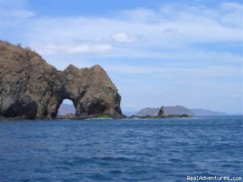 Costa Rica Flamingo Hotel & Beach Resort Vacations: Costa Rica Bat Islands with Bill Beard