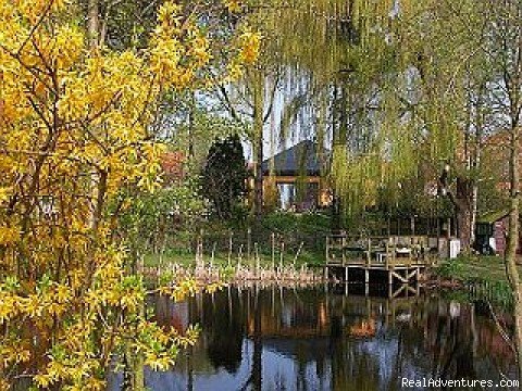 Cottage 't Staaksken and garden | 't Staaksken , a place for garden lovers | Assenede, Belgium | Vacation Rentals | Image #1/24 | 
