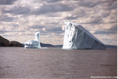 Labrador's Icebergs | Nature Trek Canada | Victoria, British Columbia  | Eco Tours | Image #1/2 | 