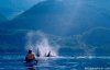 British Columbia Sea Kayaking Adventures | Nanaimo, British Columbia