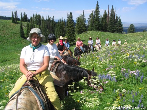 Horseback riding in the Tetons & Yellowstone Park: Tin Cup Trail