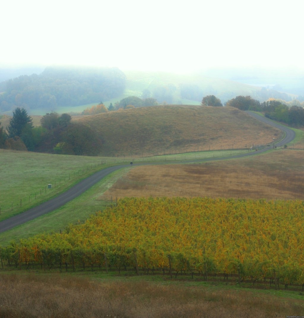 A road less traveled | Oregon's Premier Wine Country Inn - Youngberg Hill | Image #3/4 | 