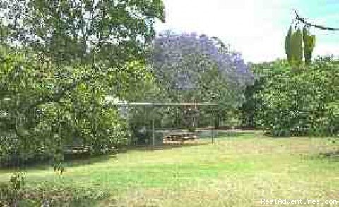 Camping Sites | Lilyponds Holiday Park | Image #5/5 | 