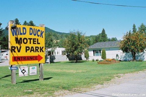 Our Yellow Sign | Wild Duck Motel & RV Park | Image #2/4 | 