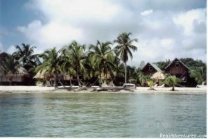 Green Parrot Beach Houses & Resort | Placencia, Belize Hotels & Resorts | Great Vacations & Exciting Destinations