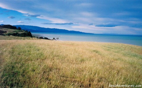 Nelson Coastal Barnstay: Tasman Bay View