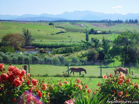 Nelson Coastal Barnstay: Mt Arthur view