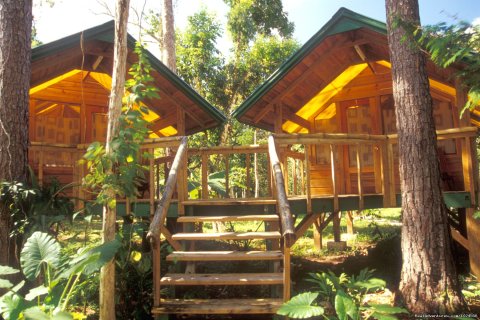 Lodge at Tropical Education Centre