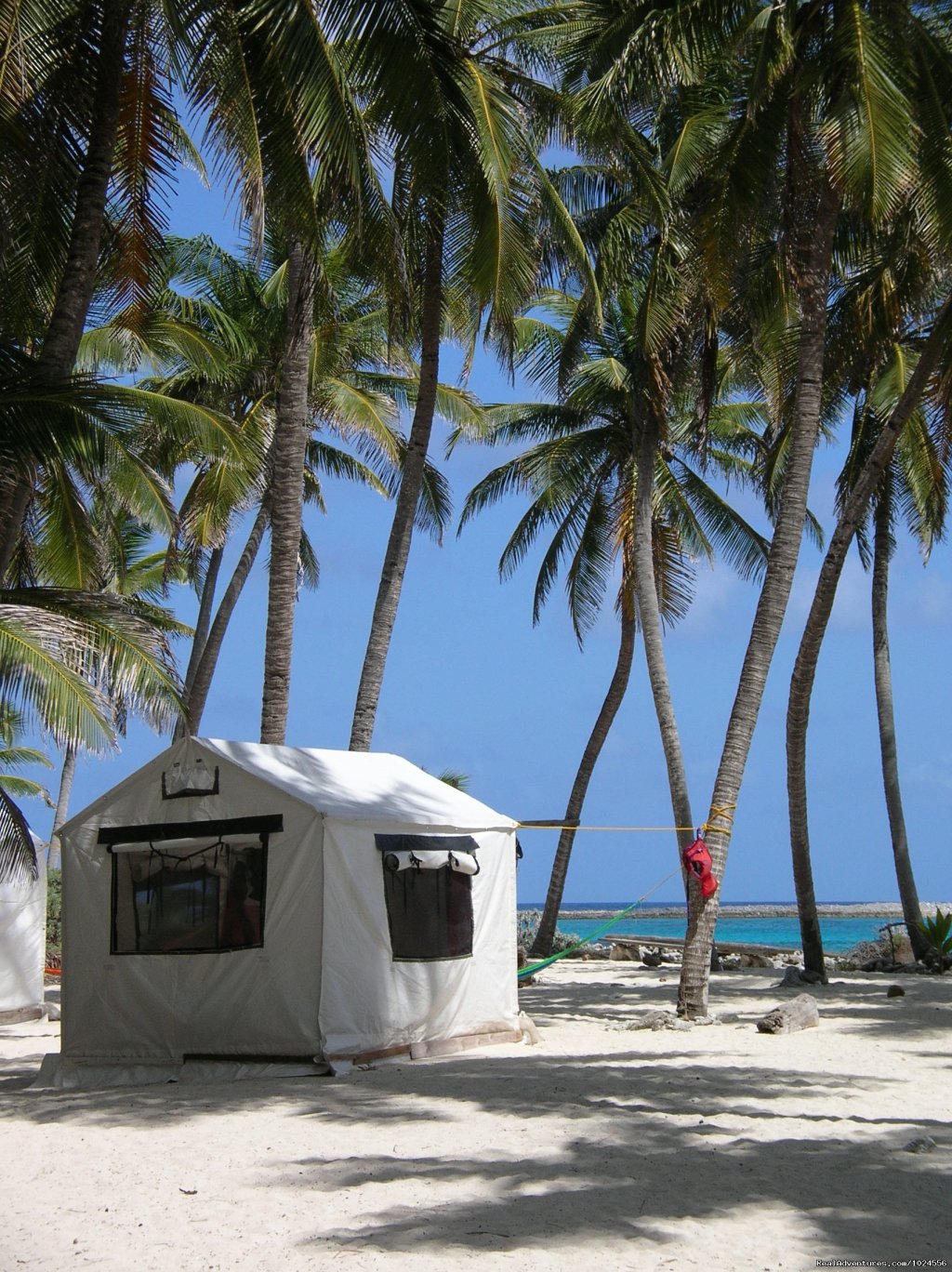 Basecamp Accommodation - Tented Cabana | Island Expeditions - Belize & Yucatan Adventures | Image #4/8 | 