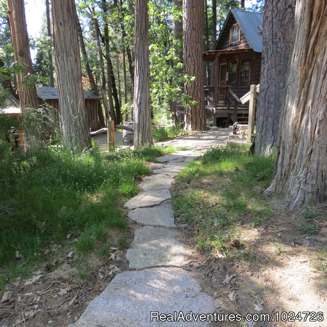 Sunset Inn- Yosemite Guest Cabins: Autumn at Sunset Inn