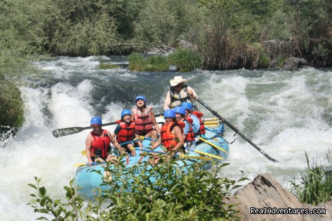 Whitewater Adventures - from mild to wild 1/2 day whitewater - Rogue River