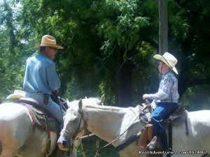 Scenic Horseback  Lessons | Dundee, Mississippi | Horseback Riding & Dude Ranches