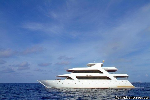 Princess HALEEMA | yacht charter,dive, surfing charters Maldives | Image #11/11 | 