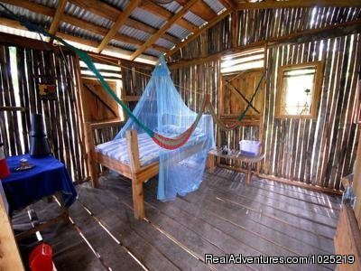 Inside Bamboo Tree House