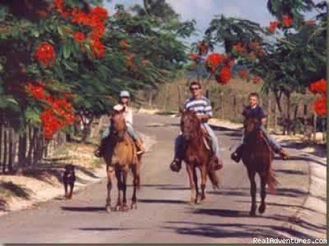 Horseback-riding on premises
