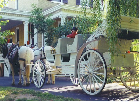 Voted Best of Illinois -Illinois Magazine: Elegance. Luxury. Romance