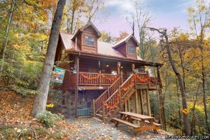 America's 1 Overnight Rental Company | Pigeon Forge, Tennessee | Vacation Rentals
