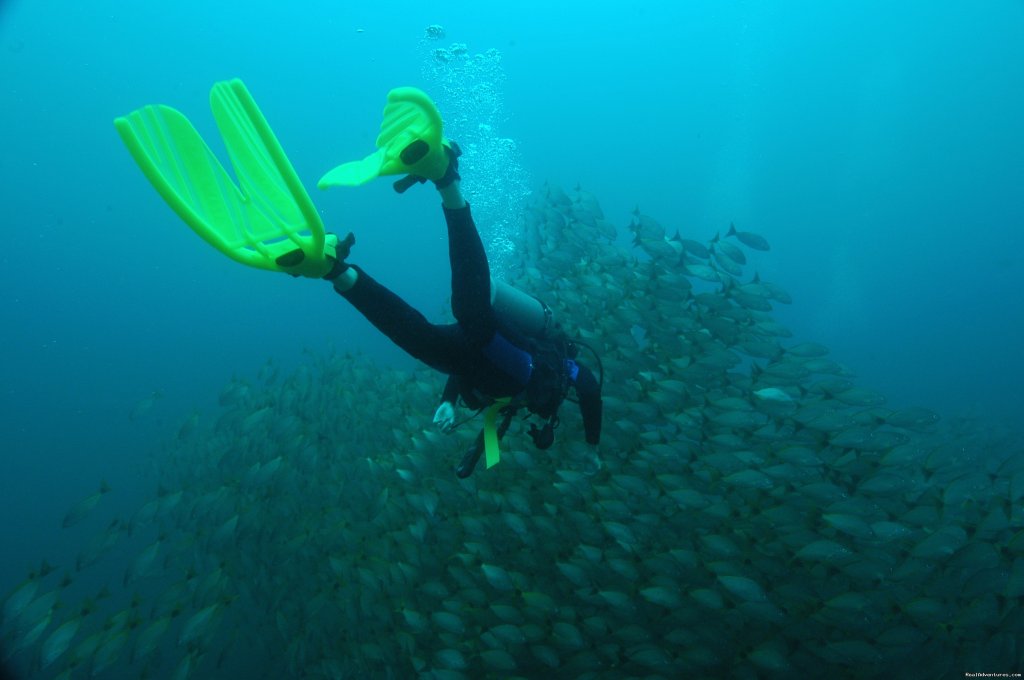 Diver at the Bat islands | Rich Coast Diving, Costa Rica | Playas del Coco, Costa Rica | Scuba Diving & Snorkeling | Image #1/5 | 