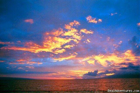 Sunset Views | Maui Condo Rental Oceanfront | Lahaina, Hawaii  | Vacation Rentals | Image #1/20 | 
